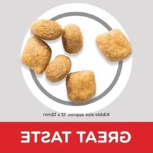 Aesco Ağız Sağlığı Için Tavuklu Yetişkin Kedi Maması, 1.5 kg