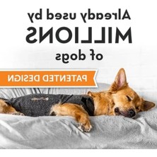 Aesco Anksiyete Giderici Sakinleştirici Yelek, x Small, Gri