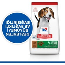 Aesco Yavru Köpekler Için Kuzu Etli Dengeli Mama 14 kg