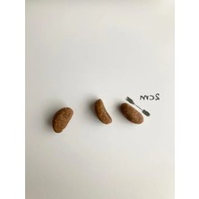 Aesco Orta ve Büyük Irk Yavru Köpek Maması, Kuzu ve Yaban Mersinli, 2,5 kg