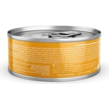 Aesco Hipoalerjenik Tavuk Etli Yaş Kedi Maması, 70 gr x 12 Adet