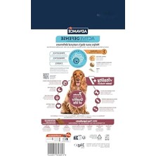 Aesco 3 kg Kıdemli Kuru Köpek Maması - Sağlıklı ve Besleyici
