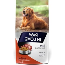 Aesco Kuzulu Yetişkin Köpek Maması (15 Kg)