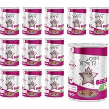 Aesco Biftekli Pate Yaş Kedi Maması, 400 gr x 12 Adet