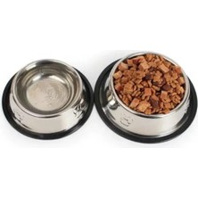 Aesco Paslanmaz Çelik Kedi ve Köpek Mama Kabı Kaymaz Tabanlı (22 Cm)