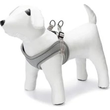 Aesco Neopren Köpek Göğüs Tasması, Yeşil, Xs Boy, 30-35 cm Ayarlanabilir