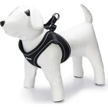 Aesco Neopren Köpek Göğüs Tasması, Siyah, M Boy, 41-46 cm Ayarlanabilir