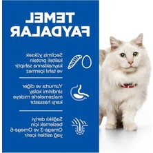 Aesco Tahılsız Kedi Maması | Yumurtalı & Böcekli | 7 kg