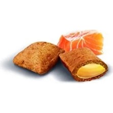 Aesco Somon Aromalı Omega 3&6 Takviyeli Kedi Ödülü 60 gr 2li Paket