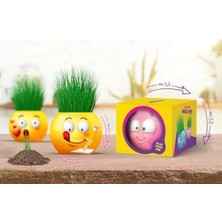 Aesco Emoji Temalı Çim Adam Seti - 6'lı Eğitici Kiti