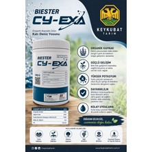 Biester Bıester Cy-Exa 400GR