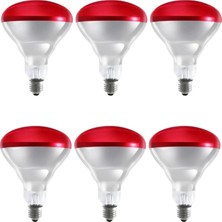 MiraLive (6 Adet) 250W Kızılötesi Isıtıcılı Hayvan Isıtma ve Kuluçka Lambası (Kırmızı Işık) E2