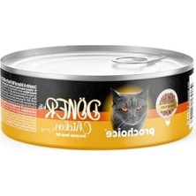 Aesco Sos Içinde Yumuşak Tavuk Etli Kedi Maması 70 gr