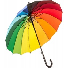 Hiruzemin Gökkuşağı Büyük Boy Şemsiye