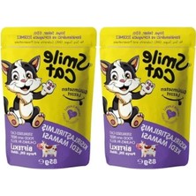 Aesco Kısır Kedi Için Biftekli Pouch 85 gr (2'li Paket)