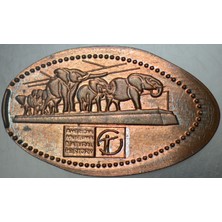 Banknoting Amerika Doğal Tarih Müzesi Hatıra Pressed Coin.