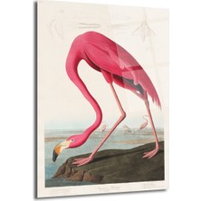 GLAZELLA Amerikan Flamingosu Cam Tablo - Pembe Zarafet
