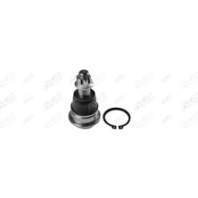 Ayd Rotil Primera 02= / Maxima 99= Alt 40160-2Y412