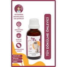 Catjoy Kediler Için Plus B Damla 50ML - Tüy Dökümünü Azaltan Tüy Sağlığını Destekleyen Damla