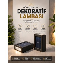Feifei Bahçe Aydınlatması Solar Güneş Enerjili Dekoratik LED Işıklı Lamba - FEİ9459-8936