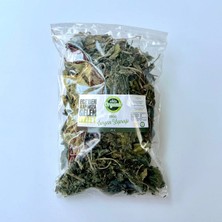 Efe Organic Isırgan Otu Kurusu 25 Gram