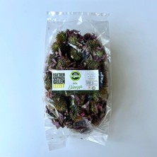 Efe Organic Ekinezya Kurusu 100 Gram