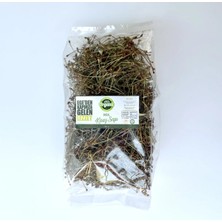 Efe Organic Kiraz Sapı 100 Gram Yeni Mahsul