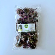 Efe Organic Ekinezya Kurusu 50 Gram
