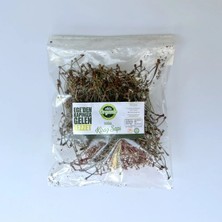 Efe Organic Kiraz Sapı 25 Gram Yeni Mahsul