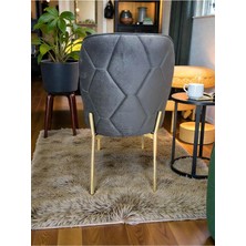 Msy Home 4 Adet Naz Serisi Gold Yönsüz Kumaş Lüks ve Modern Sandalye Seti