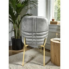 Msy Home 6 Kişilik Monaco Stil Gold Ayaklı Gri Kumaş Modern Sandalye Seti
