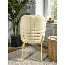 Msy Home 6 Kişilik Monaco Stil Gold Ayaklı Krem Kumaş Modern Sandalye Seti