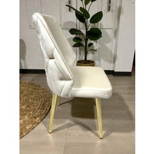 Msy Home 2 Kişilik Gold Ayak Krem Yönsüz Kumaş Modern ve Şık Sandalye Takımı
