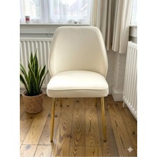 Msy Home 4 Kişilik Monaco Stil Gold Ayaklı Krem Kumaş Modern Sandalye Seti