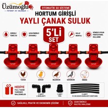 Üzümoğlu 5 Adet Hortum Girişli Yaylı Çanak Suluk Otomatik Tavuk Civciv Suluk Sistemi Kümes Için Ekonomik Set