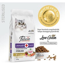 Bezos Hypoallergenic Urinary Somonlu Düşük Tahıllı Kısırlaştırılmış Kedi Maması 12 kg
