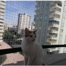 Konak File Kedi Filesi, Hayvan Koruma Filesi 3metre Yükseklik