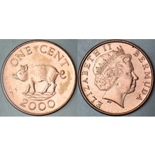 Banknoting Bermuda 1 Cent 2000 Kraliçe Iı. Elizabeth. 19 mm Çilaltı+