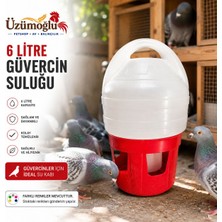 Üzümoğlu 1 Adet 6 Litre Güvercin Suluğu 2 Tırnaklı Kilit Sistemli Büyük Kapasiteli Güvercin Su Kabı  38 cm