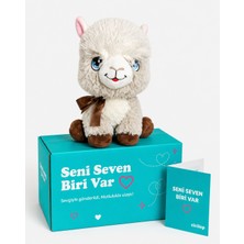 qeyfi Seni Seven Biri Var – Peluş Alpaka Hediye Kutusu