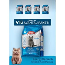 Energy Somonlu Yetişkin Kedi Maması 500 gr 4 Adet