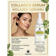 Tulip Life Collagen , Cica , Niacinamide , Peptide Serum Kırşıklık Karşıtı ve Aydınlatıcı Detox Etkisi 30 ml