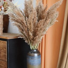 Froyi 7 Adet | Dekoratif Pampas | Dekoratif Tüyler | Gerçek Kuru Ot | Bohem Dekor | Düğün Kemeri
