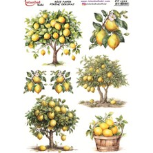 Ehobici Pirinç Dekopaj Kağıdı 30X42CM PT-1521