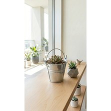 Home Greyfurtart 1 Adet Çok Amaçlı Metal Kulplu Kova Sunum Kovası Saksı Çiçeklik Kaşıklık Düzenleyici Vazo Dekoratif Dekorasyon