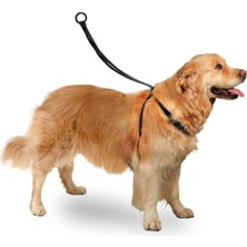 Karlie Hcctrend Karlıe Easy Walker Göğüs Tasma 40*58 cm Large