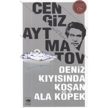 Belirtilmemiş Deniz Kıyısında Koşan Ala Köpek