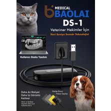 Baolai Medical Ds-1 Profesyonel Veteriner Için Dental Dijital X-Ray (Rvg) Sensörü - Foton Sayma Teknolojisi