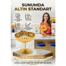 tp Buğz 2'li Profesyonel Inox Gold Paslanmaz Çelik Ayaklı Dondurma ve Tatlı Sunum Kasesi Seti 723150