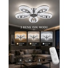 Marsel Lighting Yagmur 5li Avize Gold Plafonyer 3 Renk LED Isıklı Salon Oturma Odası Avize